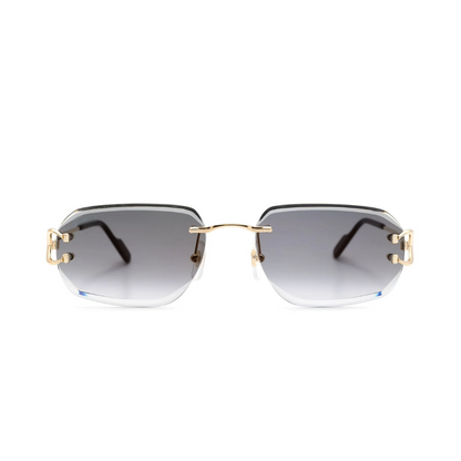Monochromatic Sunglasses
