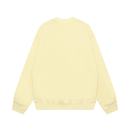 Ami Hoodie